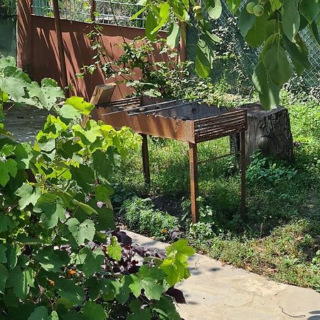 "Budur" Guest House Gandzakar Exterior foto
